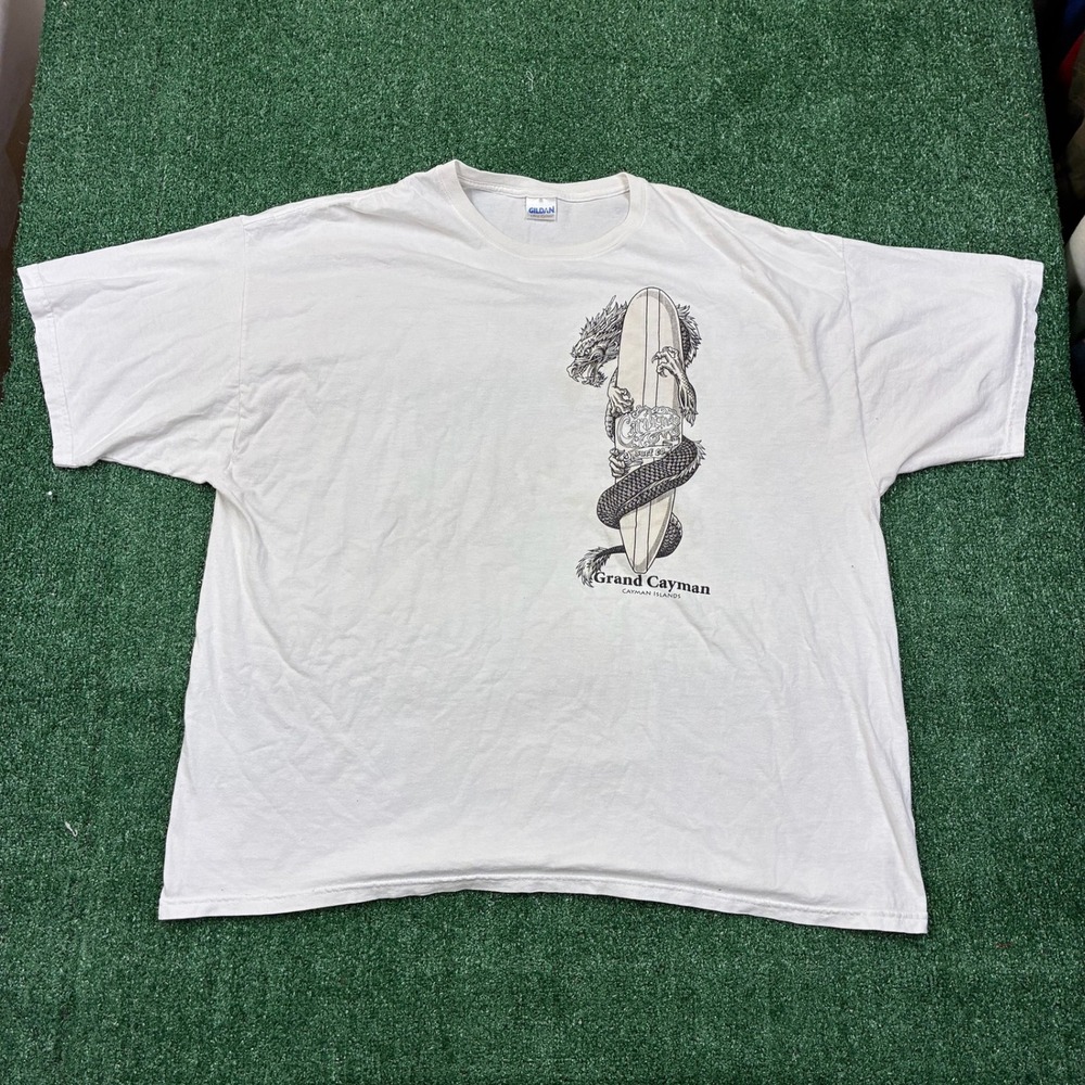 Y2K Dragon Surfboard Graphic T-shirt‎